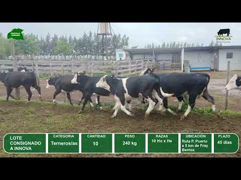 Video del lote L0-000850