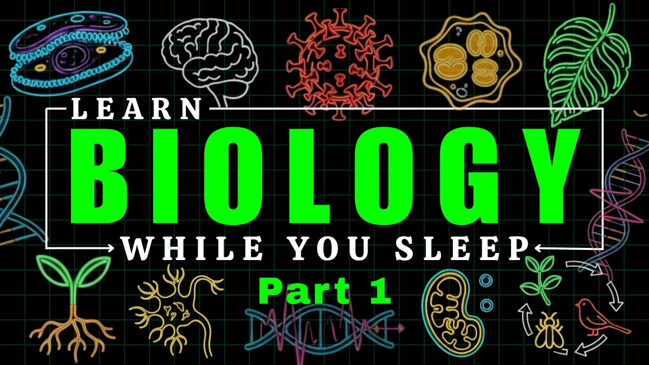 Learn Biology as you sleep: The Cell & Its Organelles | Learn while you sleep