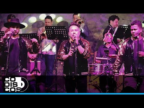 Fiesta Del Regreso, Bandafiesta - En Vivo