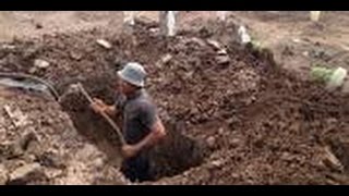 Download lagu makna, arti dan filosofi lagu turi turi putih mp3 Download lagu makna, arti dan filosofi lagu turi turi putih mp3