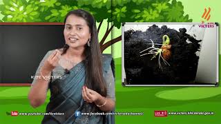 Standard 4 | Environmental Studies | Class – 13