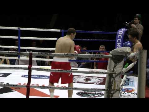 В воронежском цирке любителям боёв без правил предлагали рассмотреть «эмоции на ...