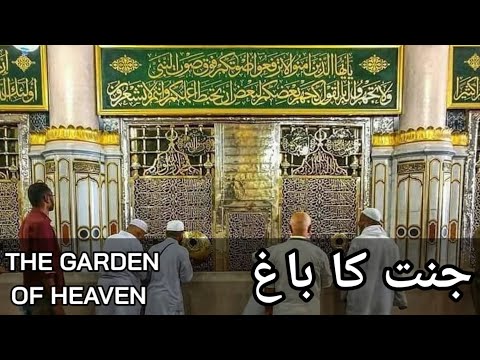 Inside Riyaz-ul-Jannah Rawdah Sharif | Masjid An-Nabawi | MADINA LIVE