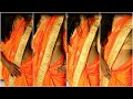How To Wear Ultra Low Waist Saree On Orange Color How To Drape Ultra Low Waist Sree 2021