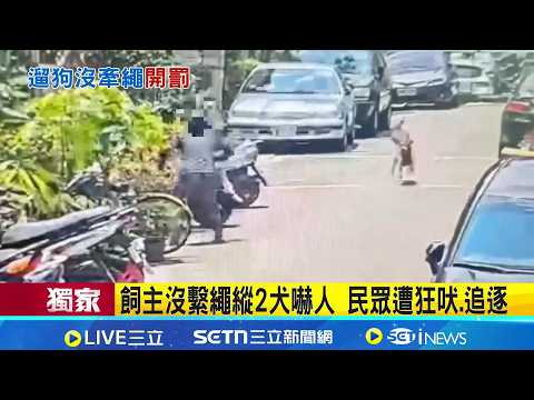 SET Exclusive | Unleashed Dogs by Owner, Causing Injury; Passengers Experience Barking and Chasin...