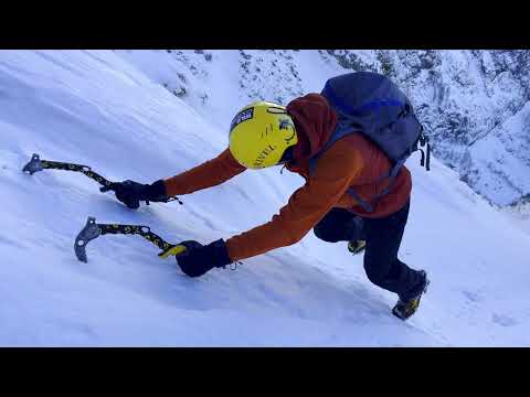 Albișoara Crucii 01.02.2026