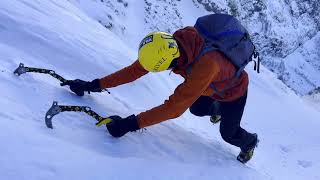 Albișoara Crucii 01.02.2026