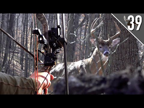 TWO BIG BUCKS INSIDE OF 10 YARDS! - Big Timber Whitetails!