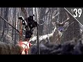 TWO BIG BUCKS INSIDE OF 10 YARDS Big Timber Whitetails