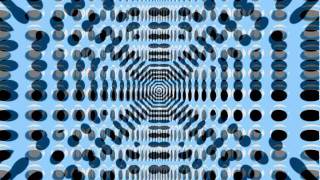 Greg Ginn and the Royal Morning In The South