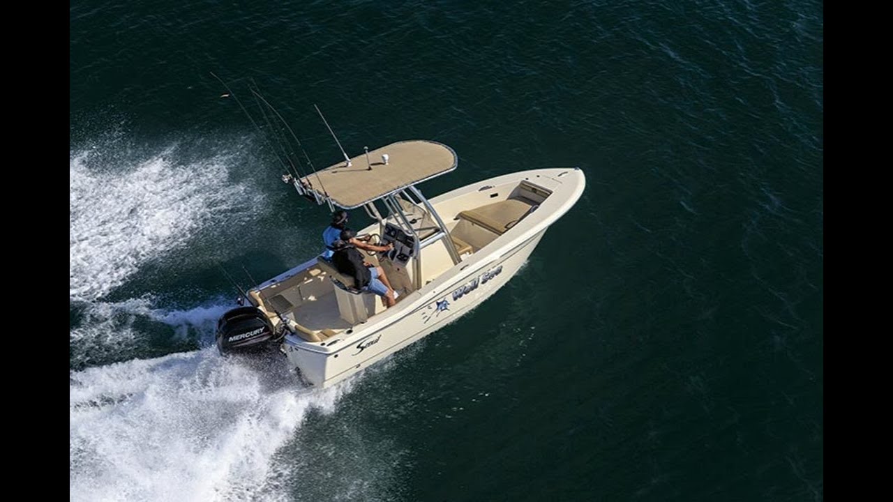 Обзор Scout 195 Sportfish