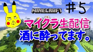 #005 マイクラ初心者、エンダードラゴン討伐までの記録。