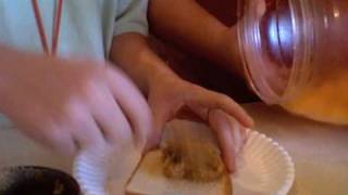 Chris Takes A Bite Out Of A Shit Sandwich