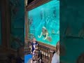 Little Mermaid Kiss