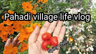 Pahadi village life vlog| Pahad mein sukoon par road ki dikkat| Colours of life. 