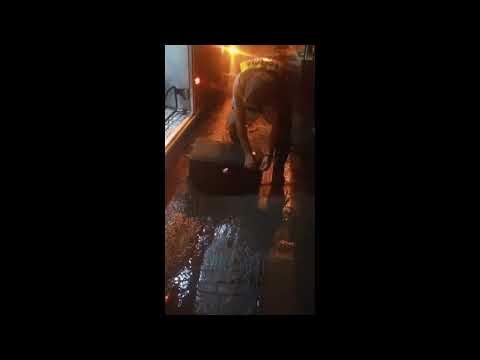 Sud Mennucci: Policiamento Rodoviário prende traficante com quase 16 kg de maconha