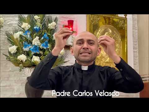 Del santo Evangelio según Lucas 21, 12-19. Miércoles 29 de noviembre de 2023 – «No tengan miedo»