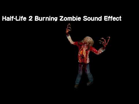 Half-Life 2 Burning Zombie Sound Effect