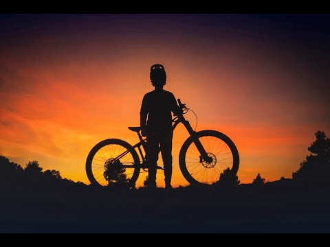 WELCOME TO THE FAMILY | SERGIO LAYOS