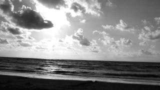 Musik für Ihre Hochzeit: Sheytoons - Losing