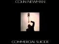 Colin Newman - Their Terrain