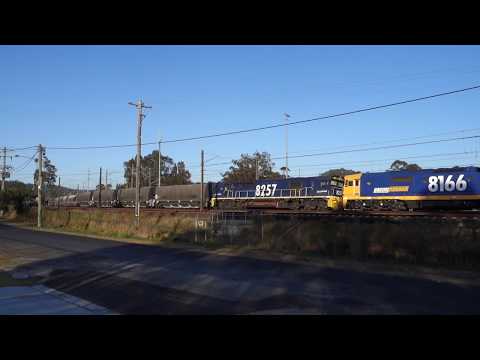 8130 / 8166 / 8257 with PN 9537 Flour - 18/9/17