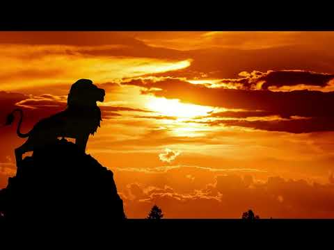 Circle Of Life vs Narco (Timmy Trumpet & W&W Mashup) - Carmen Twillie ft. Lebo M. vs Blasterjaxx