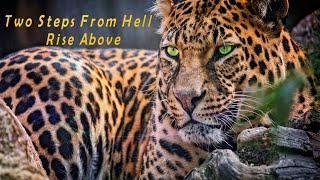 Two Steps From Hell  - Rise Above - Extended