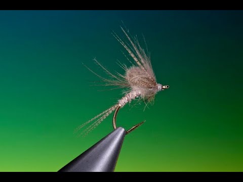 Fly Tying a CDC Emerger Mayfly with Barry Ord Clarke