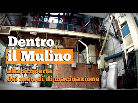 Come riunirsi in uno stomaco in 3 giorni e per sempre Siccome ho perso la storia di peso in eccesso