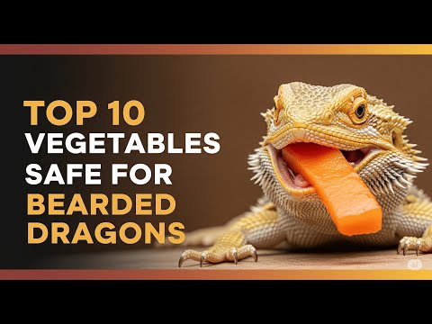 10 MUST-HAVE Veggies for a Thriving Bearded Dragon (Avoid Common Mistakes!)
