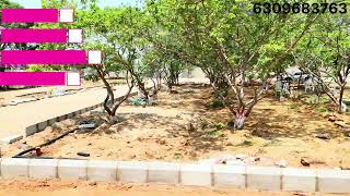  Residential Plot for Sale in Tellapur, Hyderabad