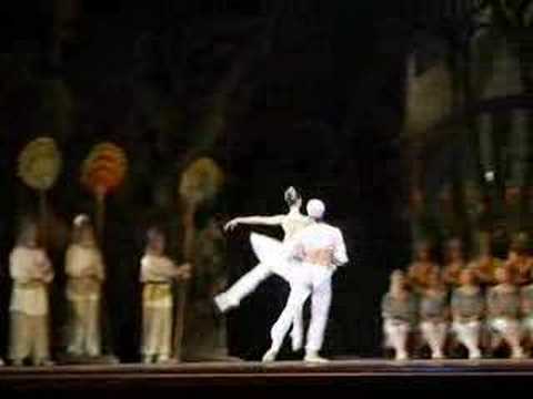 La Bayadere, Bolshoi, Moscow, 9th of April 2008
