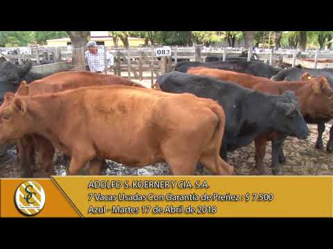 17-04-18 Venta de Vientres - Adolfo S. Koerner y Cía. S.A. - Azul
