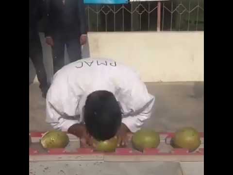 World record most coconuts smashed by headbutts