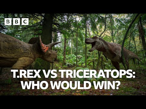 T.rex vs Triceratops: who would win?  | Walking with Dinosaurs - BBC