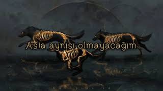 The Relay Company - Animals [TÜRKÇE ÇEVİRİ]