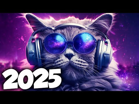 MÚSICA ELETRÔNICA 2025 🔥 ELETRÔNICAS 2025 MAIS TOCADAS 🔥 Alok, Vintage Culture & David Guetta