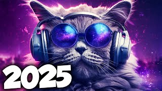 Download lagu MÚSICA ELETRÔNICA 2025 🔥 ELETRÔNICAS 2025 MAIS TOCADAS 🔥 Alok, Vintage Culture & David Guetta mp3