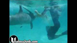 Female human diver gets uncomfortably close to an aroused male dolphin
