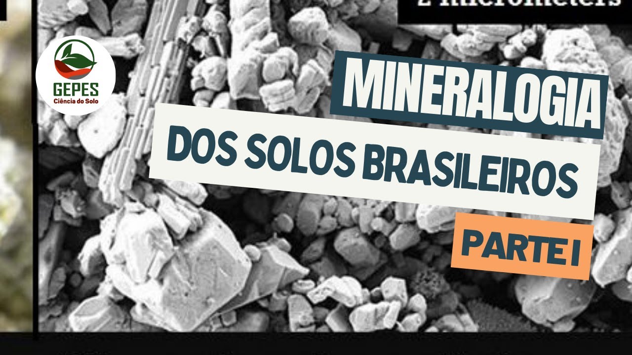 Minerais do Solo: introdução à mineralogia dos solos brasileiros