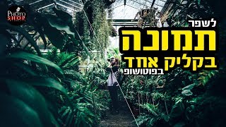איך להפוך את התמונות שלכם למדהימות בקליק אחד בפוטושופ
