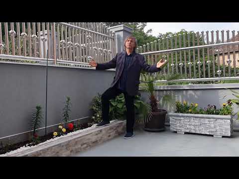 NEŠA MITIĆ - SACI SACI - (Official Music Video - 2021)