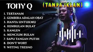 Download lagu FULL ALBUM TONY Q TERPOPULER 2025 mp3