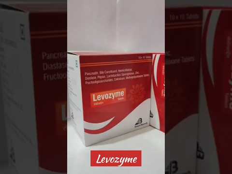 500mg Levozyme Tablet