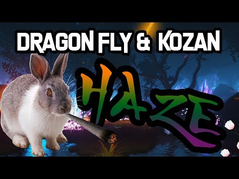 Dragon Fly & Kozan - HAZE (prod. KisumBeatz & PrymusBeats) [Offizielles Musikvideo]