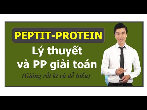 PEPTIT - PROTEÍNA - Lý thuyết e pp giải toán