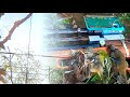 เลาะทุ่งหายิงนกตามเคยหมานๆครับวัน�