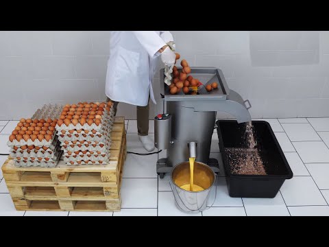 Amazing Automatic EGG Cracking Industrial Machines