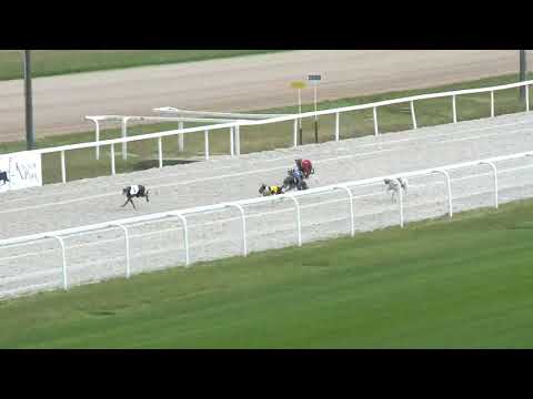 2018.04.29. agár futam